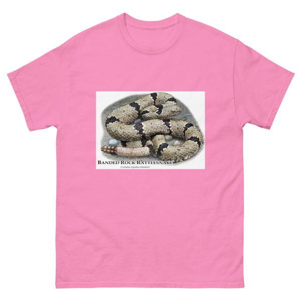 Banded Rock Rattlesnake - Unisex classic tee - Image 12