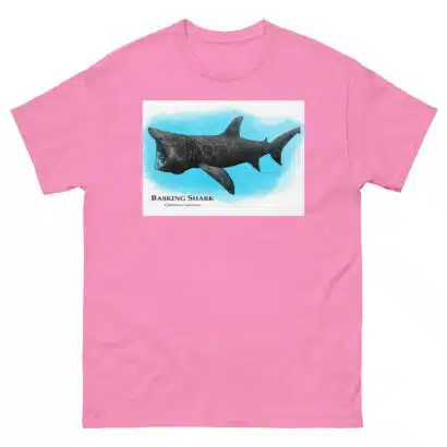 Basking Shark - Unisex classic tee - Image 12
