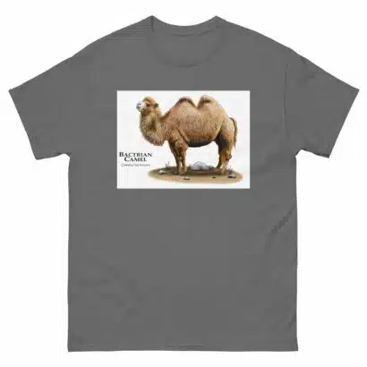 Bactrian Camel - Unisex classic tee - Image 6