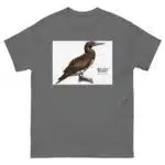 Brown Booby - Unisex classic tee - Image 6