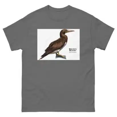 Brown Booby - Unisex classic tee - Image 6