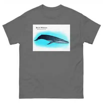 Blue Whale - Unisex classic tee - Image 6