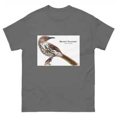 Brown-Thrasher - Unisex classic tee - Image 6