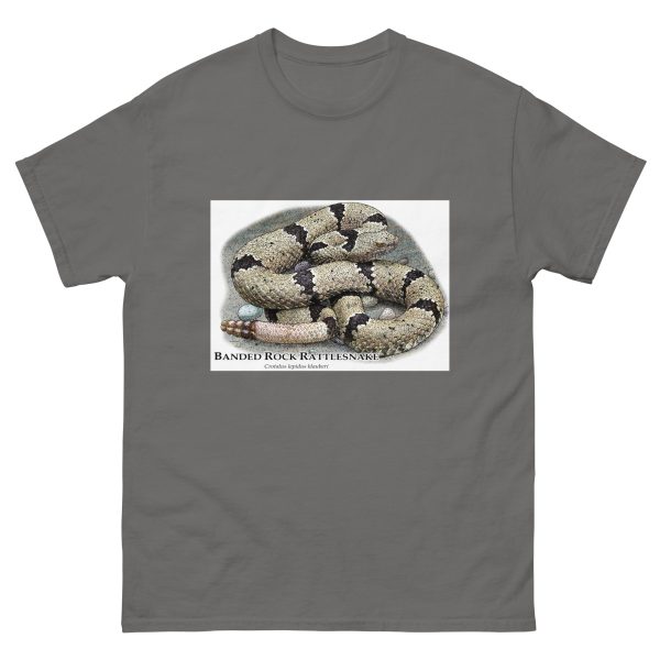 Banded Rock Rattlesnake - Unisex classic tee - Image 6
