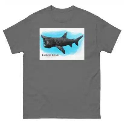 Basking Shark - Unisex classic tee - Image 6