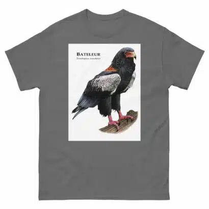Bateleur - Unisex classic tee - Image 6