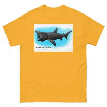 Basking Shark - Unisex classic tee - Image 14