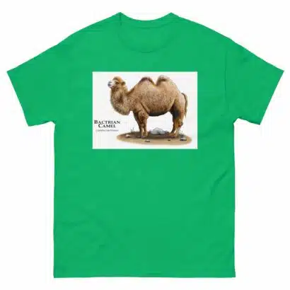 Bactrian Camel - Unisex classic tee - Image 10