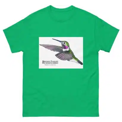 Broad-Tailed Hummingbird - Unisex classic tee - Image 10