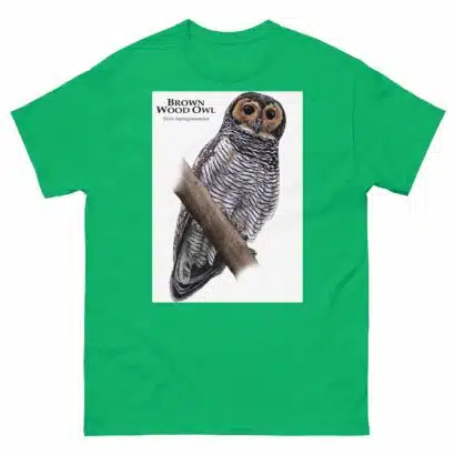 Brown Wood Owl - Unisex classic tee - Image 10