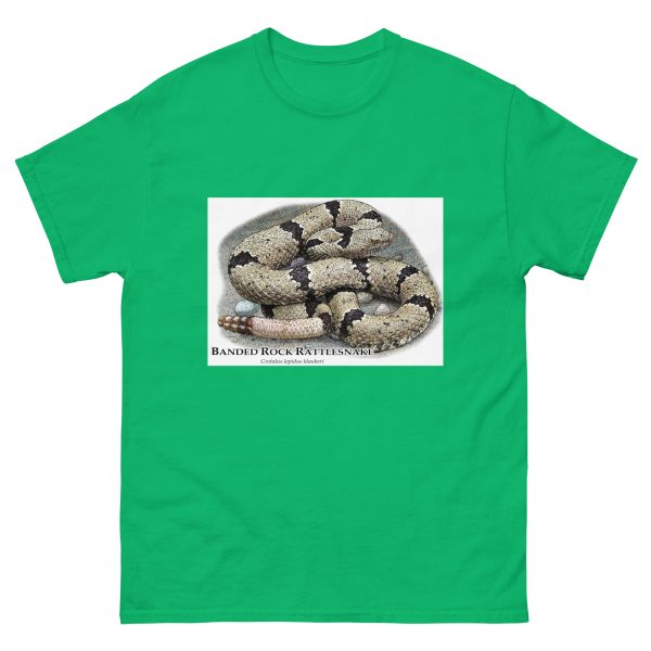 Banded Rock Rattlesnake - Unisex classic tee - Image 10