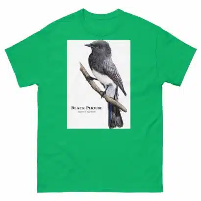 Black Phoebe - Unisex classic tee - Image 10