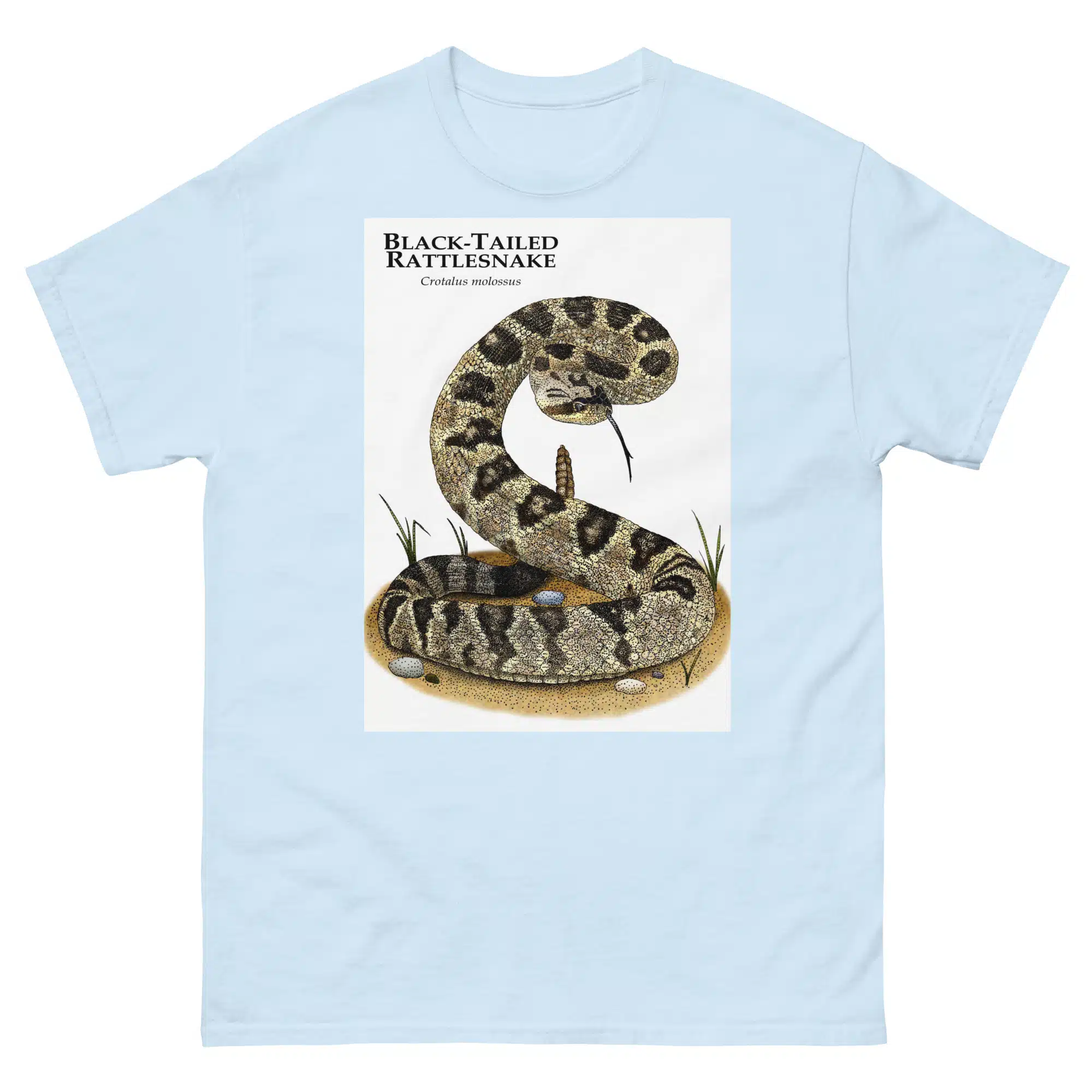 The (XL) TRAINER SNAKE RATTLE TEE ジョーマッコイ Misunderstood Snakes The Save - Rattlesnake Mojave トップス