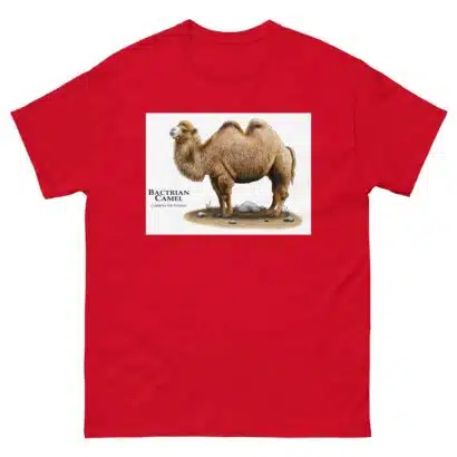 Bactrian Camel - Unisex classic tee - Image 4