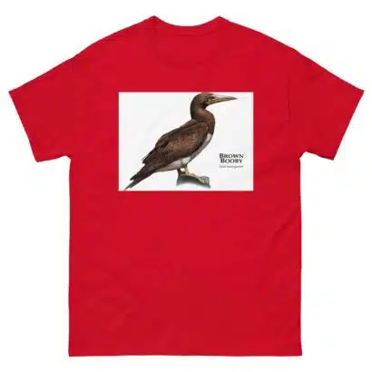 Brown Booby - Unisex classic tee - Image 4