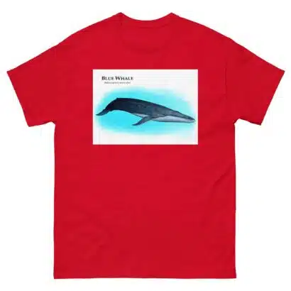 Blue Whale - Unisex classic tee - Image 4