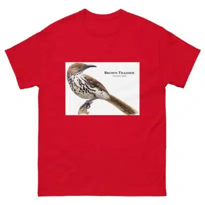 Brown-Thrasher - Unisex classic tee - Image 4