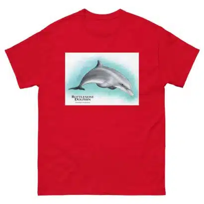 Bottlenose Dolphin - Unisex classic tee - Image 4