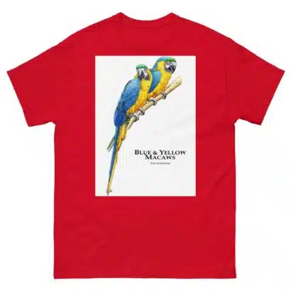 Blue and Yellow Macaw - Unisex classic tee - Image 4