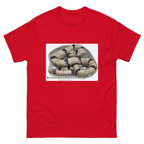 Banded Rock Rattlesnake - Unisex classic tee - Image 4