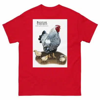 Bantam Chicken - Unisex classic tee - Image 4