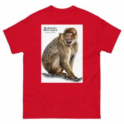 Barbary Macaque - Unisex classic tee - Image 4