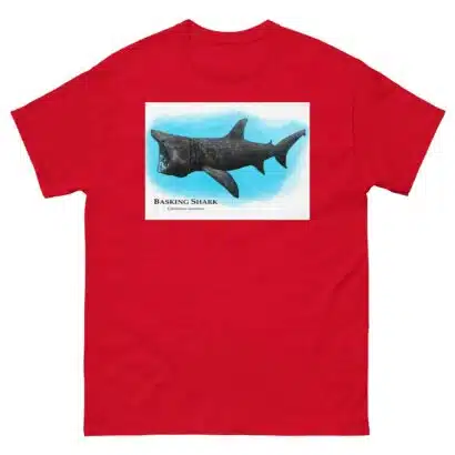 Basking Shark - Unisex classic tee - Image 4