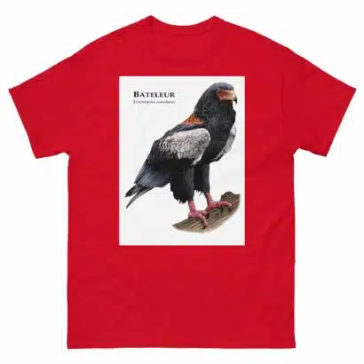 Bateleur - Unisex classic tee - Image 4