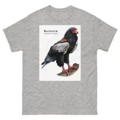 Bateleur - Unisex classic tee - Image 16