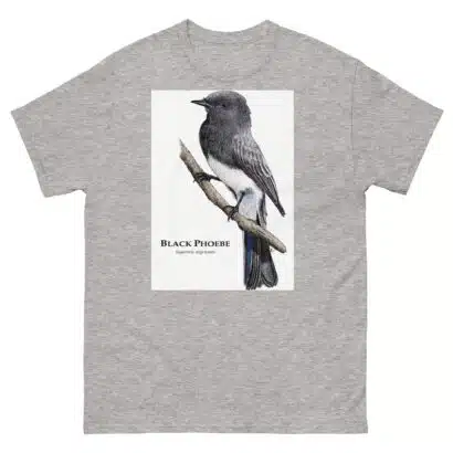 Black Phoebe - Unisex classic tee - Image 16