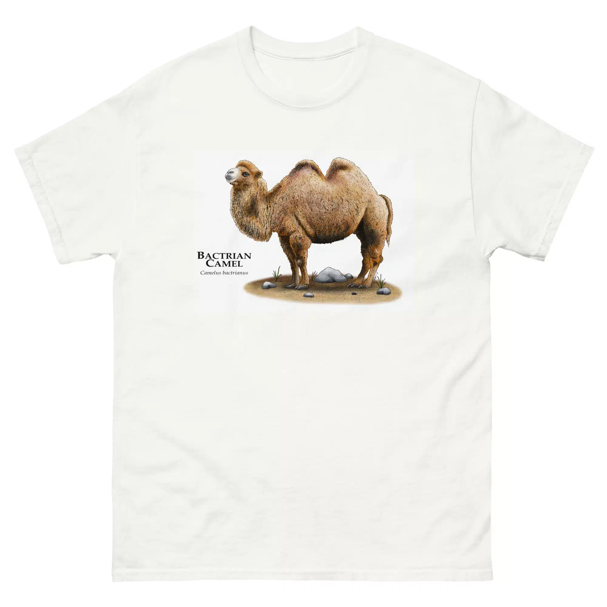 Bactrian Camel unisex-classic-tee-white Bactrian Camel (Camelus bactrianus) t-shirt