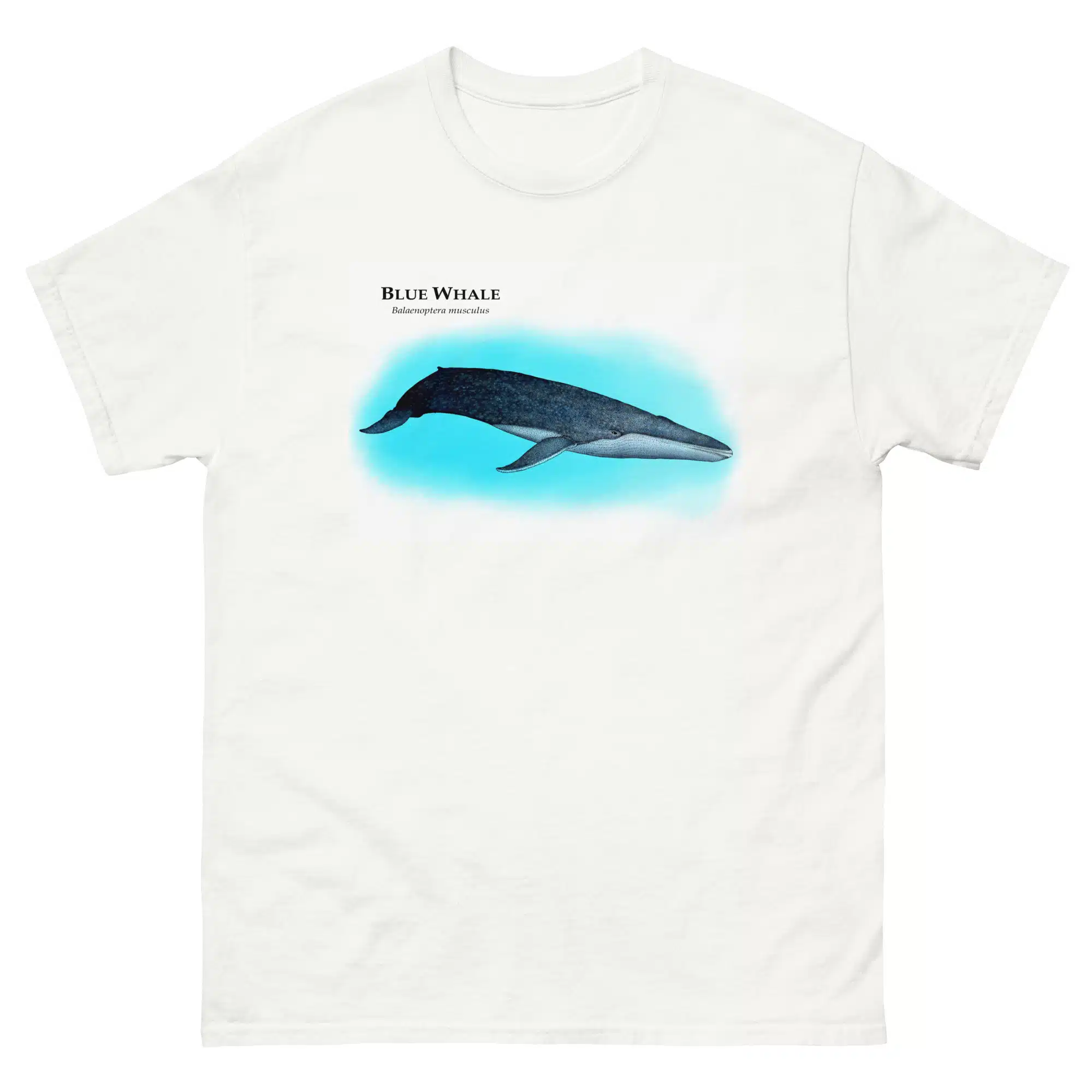 Blue Whale unisex-classic-tee-white Blue Whale (Balaenoptera musculus) t-shirt