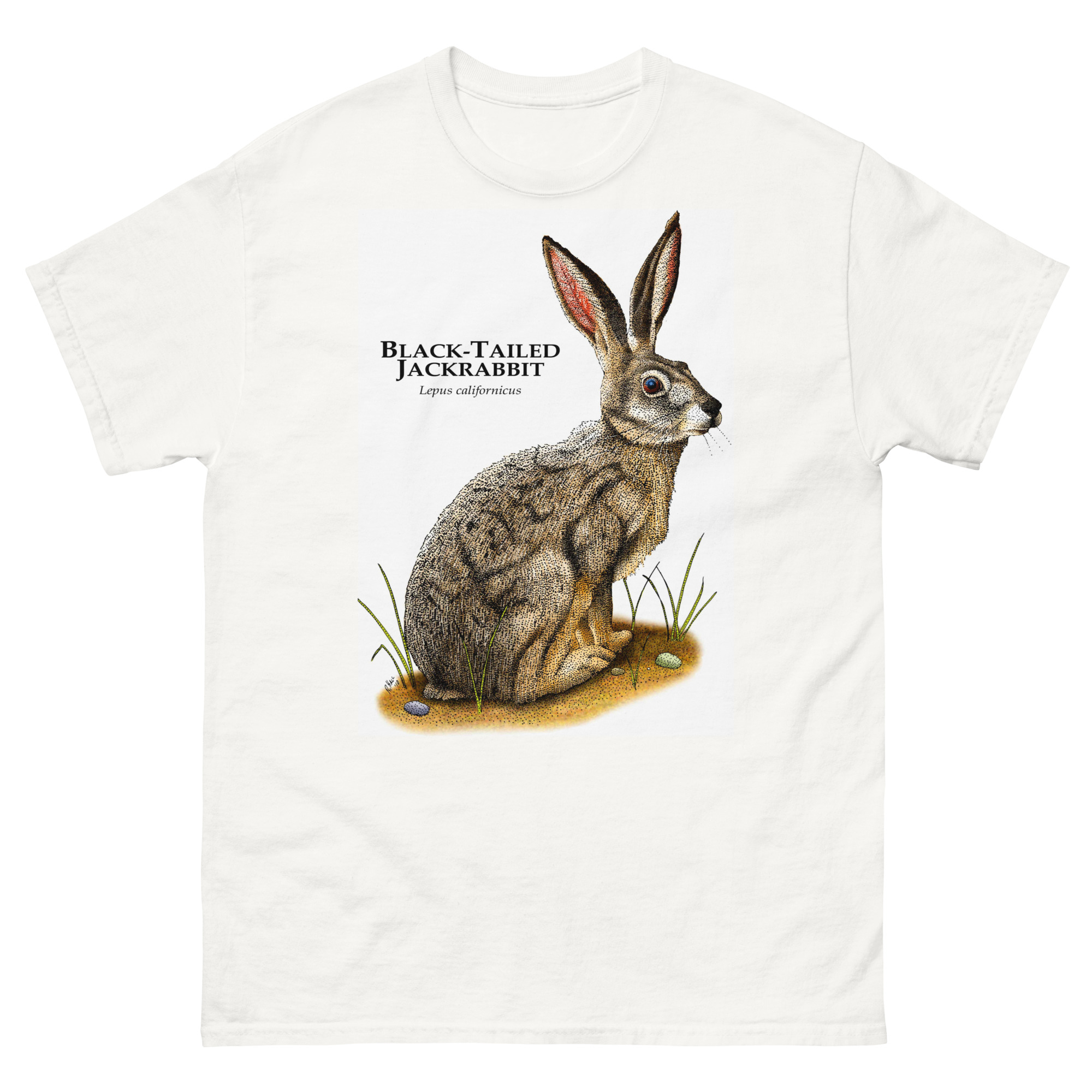 Black-Tailed Jackrabbit (Lepus californicus) unisex-classic-tee-white Black-Tailed Jackrabbit (Lepus californicus) t-shirt