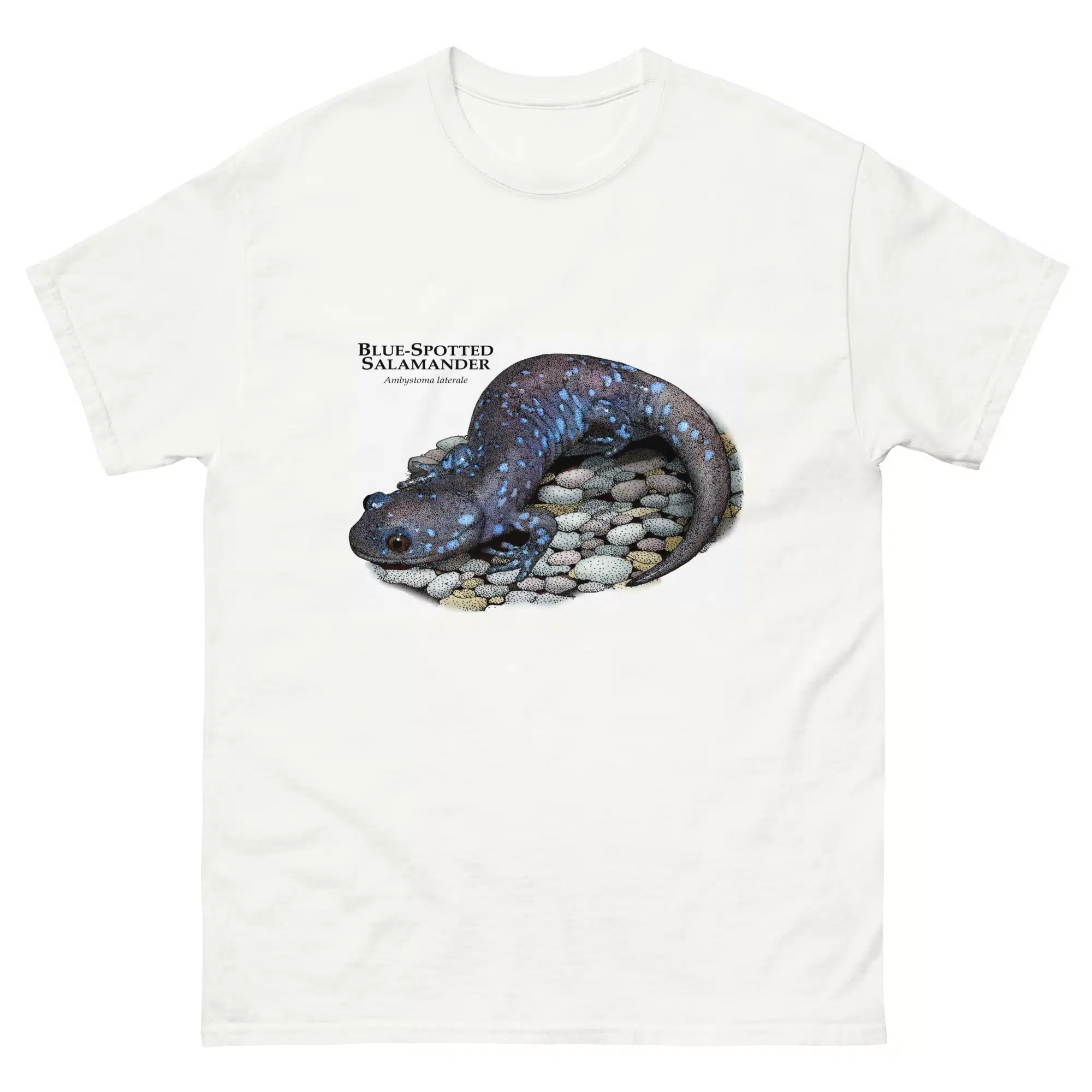 Blue-Spotted Salamander (Ambystoma laterale)unisex-classic-tee Blue-Spotted Salamander (Ambystoma laterale) t-shirt