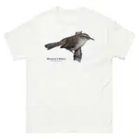 Bewick's Wren (Thryomanes bewickii) t-shirt