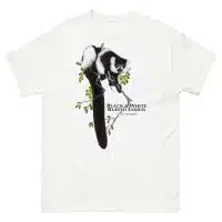 Black & White Ruffed Lemur (Varecia variegata)