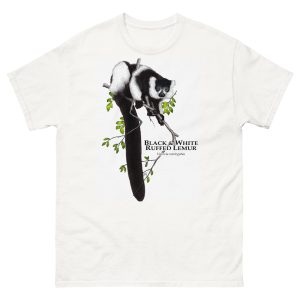 Black & White Ruffed Lemur (Varecia variegata)