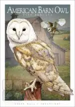 American Barn Owl - Unisex classic tee - Image 2
