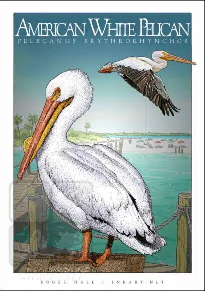 American White Pelican - Unisex classic tee - Image 2