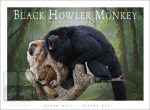 Black Howler Monkey illustration