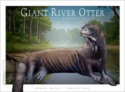 Giant River Otter - Unisex classic tee - Image 2