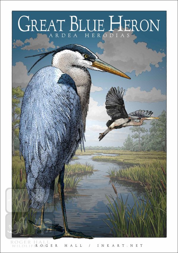 Great Blue Heron - Unisex classic tee - Image 2