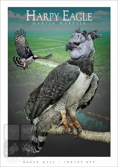 Harpy Eagle - Unisex classic tee - Image 2