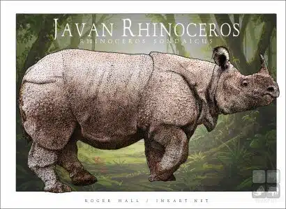 Javan Rhinoceros - Unisex classic tee - Image 2