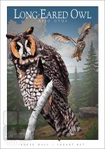 Long-Eared Owl - Unisex classic tee - Image 2