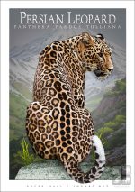 Persian Leopard - Unisex classic tee - Image 2