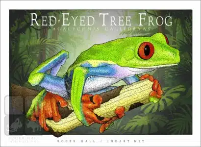 Red-Eyed Tree Frog - Unisex classic tee - Image 2