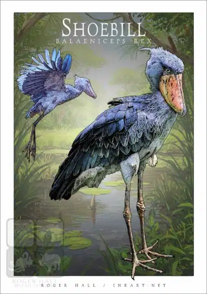 Shoebill - Unisex classic tee - Image 2