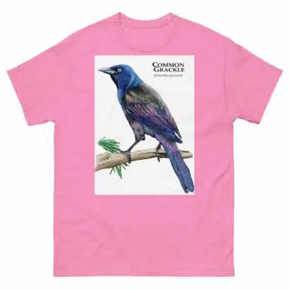 Common Grackle - Unisex classic tee - Image 12