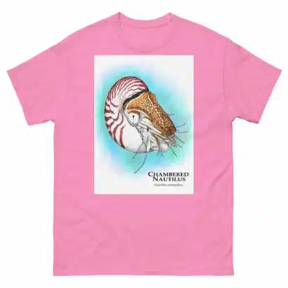 Chambered Nautilus - Unisex classic tee - Image 12